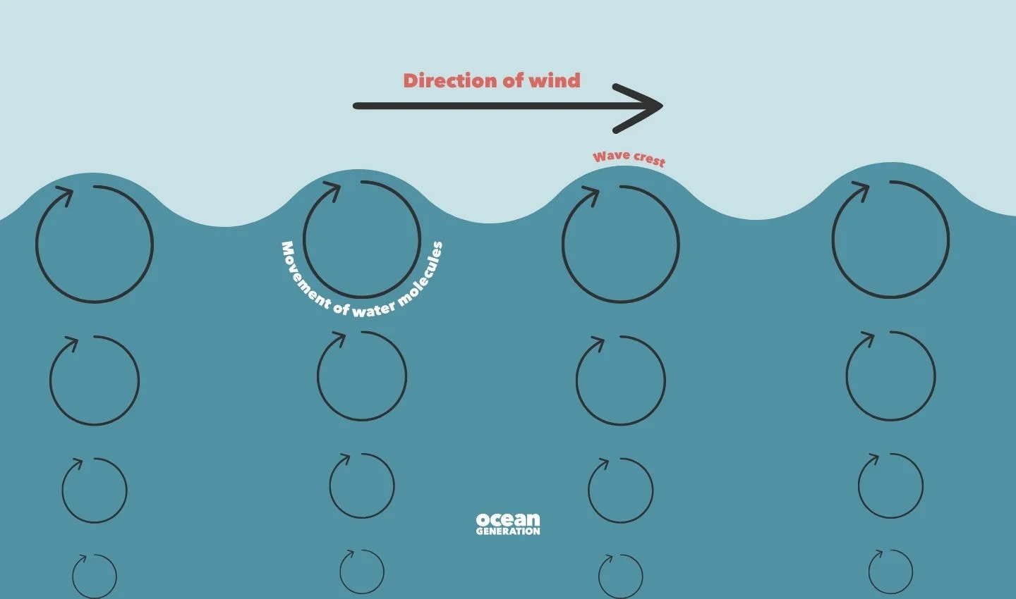 Depiction of how the wind makes the water molecules follow a circular motion