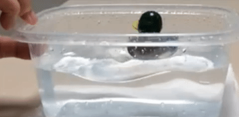 A gif of rubber duck moving up and down in small water wave